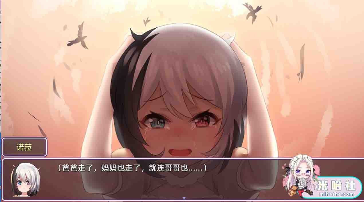 光与影的二重身 攻略要点 画面 2